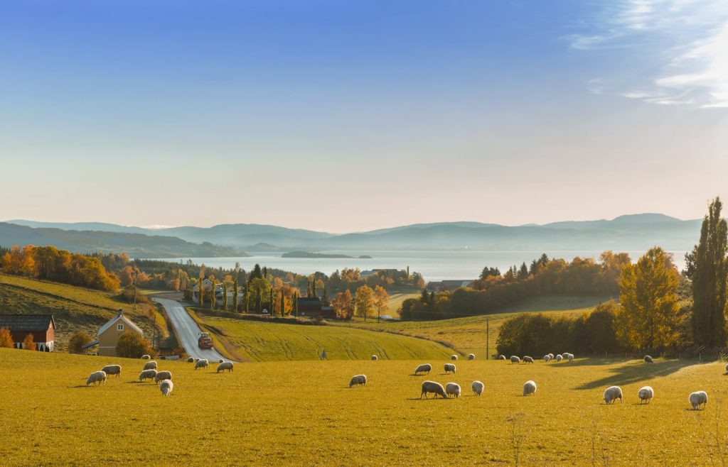 32709759986_f54a63507b_k